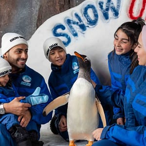 Snow Oman – Top-Rated Attractions Lizp.com Special Offers, Deals & Discounts in USA
