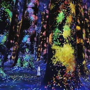 TeamLab Phenomena + Qasr Al Watan – Combo – Recently Added Experiences Lizp.com Special Offers, Deals & Discounts in USA