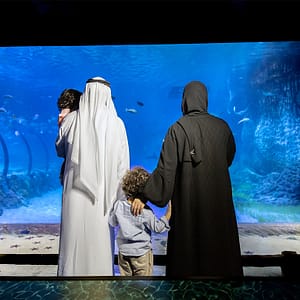 The National Aquarium Abu Dhabi – Experiences Lizp.com Special Offers, Deals & Discounts in USA
