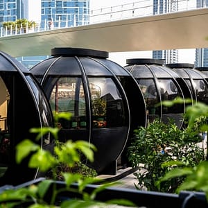 The Pods 4-Course Set Menu – Brunches Lizp.com Special Offers, Deals & Discounts in USA