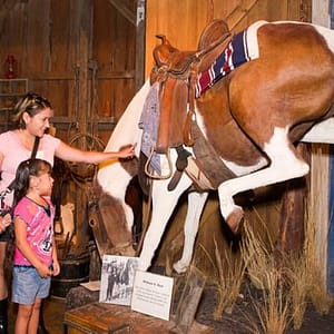 The Buckhorn Saloon & Museum and Texas Ranger Museum Admission at Ranger, San Antonio, United States Lizp.com Special Offers, Deals & Discounts in USA