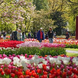 Keukenhof Gardens with transport – Recently Added Experiences Lizp.com Special Offers, Deals & Discounts in USA