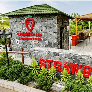 Strawberry Farm – Top-Rated Attractions Lizp.com Special Offers, Deals & Discounts in USA