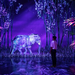 ARTE Museum + House Of Hype – Combo – Combos and more adventures Lizp.com Special Offers, Deals & Discounts in USA