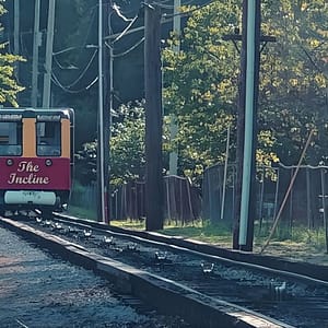 Derailed: Trolley Tour and Train Ride in Chattanooga at Frothy Monkey, Chattanooga, United States Lizp.com Special Offers, Deals & Discounts in USA