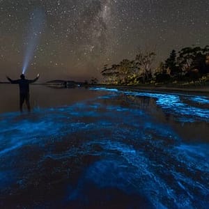Florida Bioluminescent Paddleboard / Kayak Excursion at Florida Adventurer: Bioluminescent Kayaking Cocoa Beach, Orlando, United States Lizp.com Special Offers, Deals & Discounts in USA
