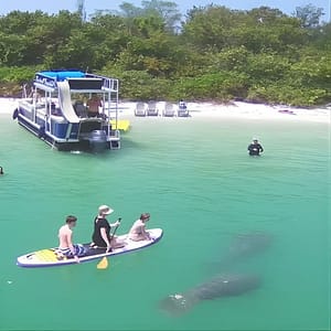 Private Siesta Funship Adventure/Dolphin Cruise Sandbar Stops at 946 Siesta Dr, Sarasota, United States Lizp.com Special Offers, Deals & Discounts in USA