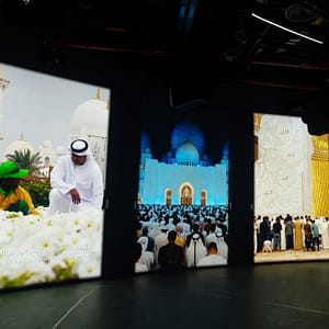 TeamLab Phenomena Abu Dhabi + Free Light and Peace museum – Combos and more adventures Lizp.com Special Offers, Deals & Discounts in USA