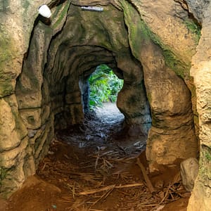 Tropical Land – Top-Rated Attractions Lizp.com Special Offers, Deals & Discounts in USA