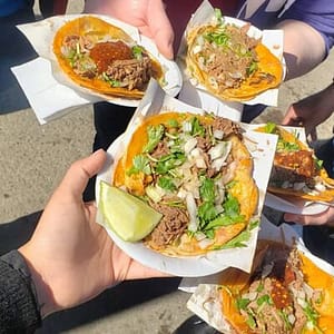 Taco Tuesday Hop to Tijuana from San Diego at 727 E San Ysidro Blvd, San Diego, United States Lizp.com Special Offers, Deals & Discounts in USA