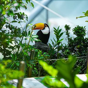 The Green Planet Dubai – Theme Parks Lizp.com Special Offers, Deals & Discounts in USA