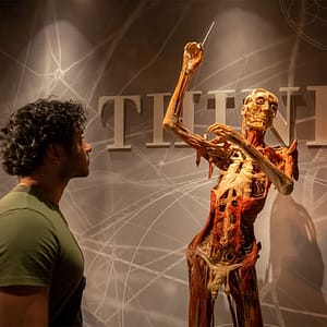 Real Bodies: A Journey Through the Human Experience at Horseshoe Las Vegas, Las Vegas, United States Lizp.com Special Offers, Deals & Discounts in USA