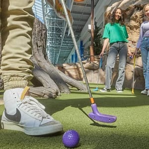 Moose Mountain Adventure Golf at Mall of America – 2nd Floor, North Atrium, Minneapolis, United States Lizp.com Special Offers, Deals & Discounts in USA