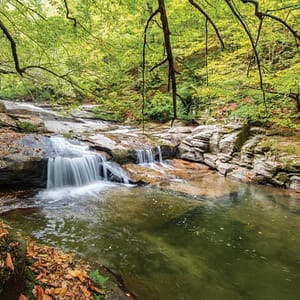 Istanbul: Day Trip to Scenic Sapanca, Masukiye and Kartepe – Recently Added Experiences Lizp.com Special Offers, Deals & Discounts in USA