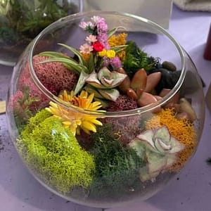 Open Glass Terrarium Class at Luludi Living Art, San Francisco, United States Lizp.com Special Offers, Deals & Discounts in USA