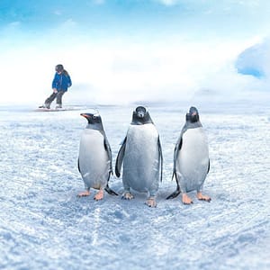 Ski Egypt – Indoor Attractions Lizp.com Special Offers, Deals & Discounts in USA