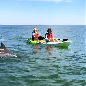 Small Group Dolphin Kayak Eco-Tour at 2500 Shore Dr, Virginia Beach, United States Lizp.com Special Offers, Deals & Discounts in USA