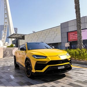 Ultra – Luxury City Tour with Private Chauffeur – Recently Added Experiences Lizp.com Special Offers, Deals & Discounts in USA