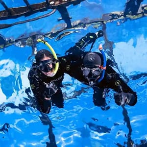 Dubai Aquarium & Underwater Zoo Cage Snorkelling – Indoor Attractions Lizp.com Special Offers, Deals & Discounts in USA