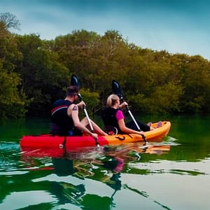 Mangroves Kayaking at Purple Island – Qool Qatar – Must-see attractions Lizp.com Special Offers, Deals & Discounts in USA