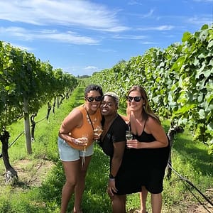 Long Island Full Day Wine and Food Tasting Vineyard Tour from NYC at 140 East 41st Street (closer to 3rd Avenue), New York, United States Lizp.com Special Offers, Deals & Discounts in USA