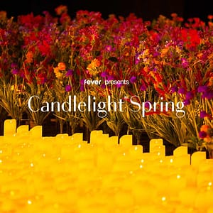 Candlelight Spring: Tribute to The Beatles at The Parthenon, Nashville, United States Lizp.com Special Offers, Deals & Discounts in USA