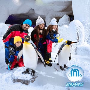 Ski Dubai: Snow Premium with Penguin Encounter – Must-see attractions Lizp.com Special Offers, Deals & Discounts in USA