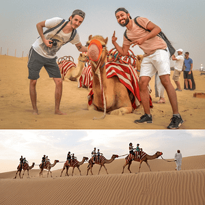 Morning Desert Safari Dubai with Dune Bashing, Sand Boarding & Camel Ride – Desert safaris Lizp.com Special Offers, Deals & Discounts in USA