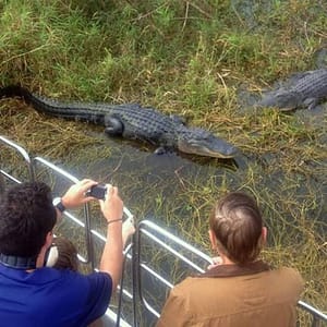 Florida Everglades Airboat Tour and Wild Florida Admission with Optional Lunch at 3301 Lake Cypress Rd, Orlando, United States Lizp.com Special Offers, Deals & Discounts in USA
