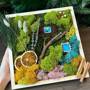 Moss Art Workshop at Luludi Living Art, San Francisco, United States Lizp.com Special Offers, Deals & Discounts in USA