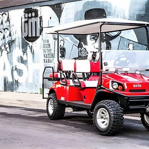 Mural Art Tour of Nashville by Golf Cart at 833 9th Ave S, Nashville, United States Lizp.com Special Offers, Deals & Discounts in USA