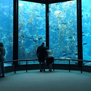 Oman Aquarium – Experiences Lizp.com Special Offers, Deals & Discounts in USA