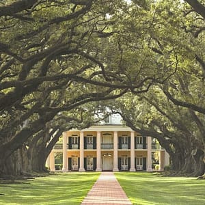 Oak Alley Plantation: Tour from New Orleans at Oak Alley Plantation, New Orleans, United States Lizp.com Special Offers, Deals & Discounts in USA