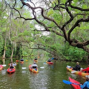 Half day kayak and paddle board rentals on the scenic Dora Canal at 210 E Ruby St, Orlando, United States Lizp.com Special Offers, Deals & Discounts in USA