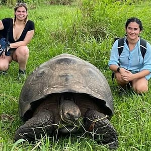 Private Tour Sighting Giant Tortoises and Lava Tunnels at Galapagos frontier, Santa Cruz, United States Lizp.com Special Offers, Deals & Discounts in USA
