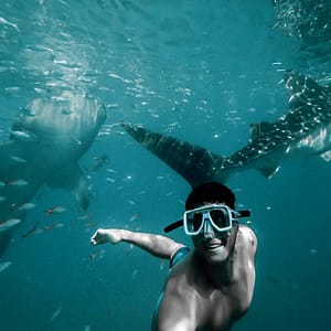Private group Boating Experience with Dolphins Watching & Snorkeling – Sightseeing and Tours Lizp.com Special Offers, Deals & Discounts in USA