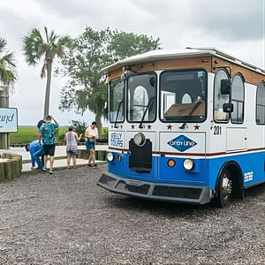 Savannah to Tybee Island with Dolphin Cruise at 223 Martin Luther King Jr Blvd, Savannah, United States Lizp.com Special Offers, Deals & Discounts in USA