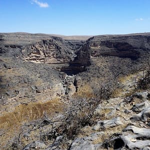 Salalah: Private Full-Day Jebel Safari Tour East – Recently Added Experiences Lizp.com Special Offers, Deals & Discounts in USA
