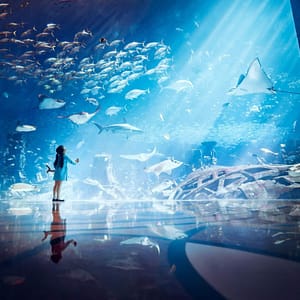 Lost Chambers Aquarium – Experiences Lizp.com Special Offers, Deals & Discounts in USA