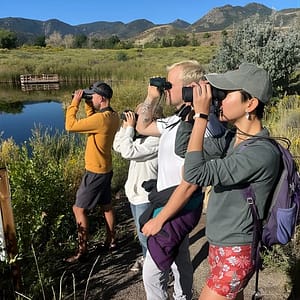 2 Hours of Mindful Bird Watching near Denver at Belmar Park Parking Lot, Denver, United States Lizp.com Special Offers, Deals & Discounts in USA