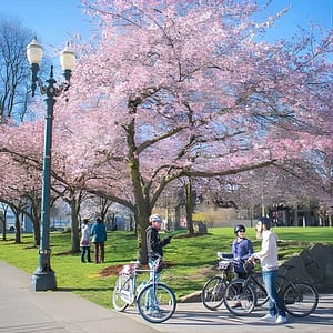 Essential Portland Oregon Bike and E-Bike Tour! at Cycle Portland – Bike Tours, Rentals, Repairs, Portland, United States Lizp.com Special Offers, Deals & Discounts in USA
