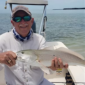 Biscayne Bay Inshore Flats Fishing at Miami Beach, Miami, United States Lizp.com Special Offers, Deals & Discounts in USA
