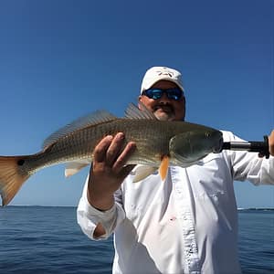 2 Hour Kids Fishing Charter at 290 Yacht Club Dr, Destin, United States Lizp.com Special Offers, Deals & Discounts in USA