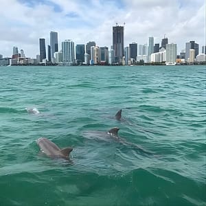 Semi-Private Zodiac RIB Boat Tour w/Exclusive Stiltsville Access at Ocean Force Adventures, Miami, United States Lizp.com Special Offers, Deals & Discounts in USA