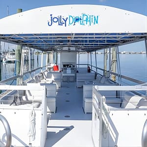 Pensacola Beach Jolly Dolphin Cruise and Scenic Bay Tour at 655 Pensacola Beach Blvd, Pensacola, United States Lizp.com Special Offers, Deals & Discounts in USA