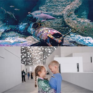 The National Aquarium + Louvre Abu Dhabi – Combo – Combos and more adventures Lizp.com Special Offers, Deals & Discounts in USA