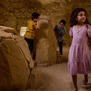 Discover the National Museum of Qatar – Must-see attractions Lizp.com Special Offers, Deals & Discounts in USA