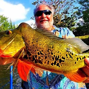 Peacock Bass in Florida near Biscayne Bay at 8939 Howard Dr, Miami, United States Lizp.com Special Offers, Deals & Discounts in USA