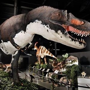 Branson Dinosaur Museum Admission Ticket at Dinosaur Museum, Branson, United States Lizp.com Special Offers, Deals & Discounts in USA