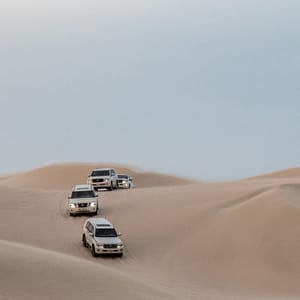 Quickie to the Desert – Sightseeing and Tours Lizp.com Special Offers, Deals & Discounts in USA